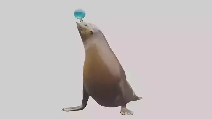 Sea Lion balancing ball model Low-poly 3D model