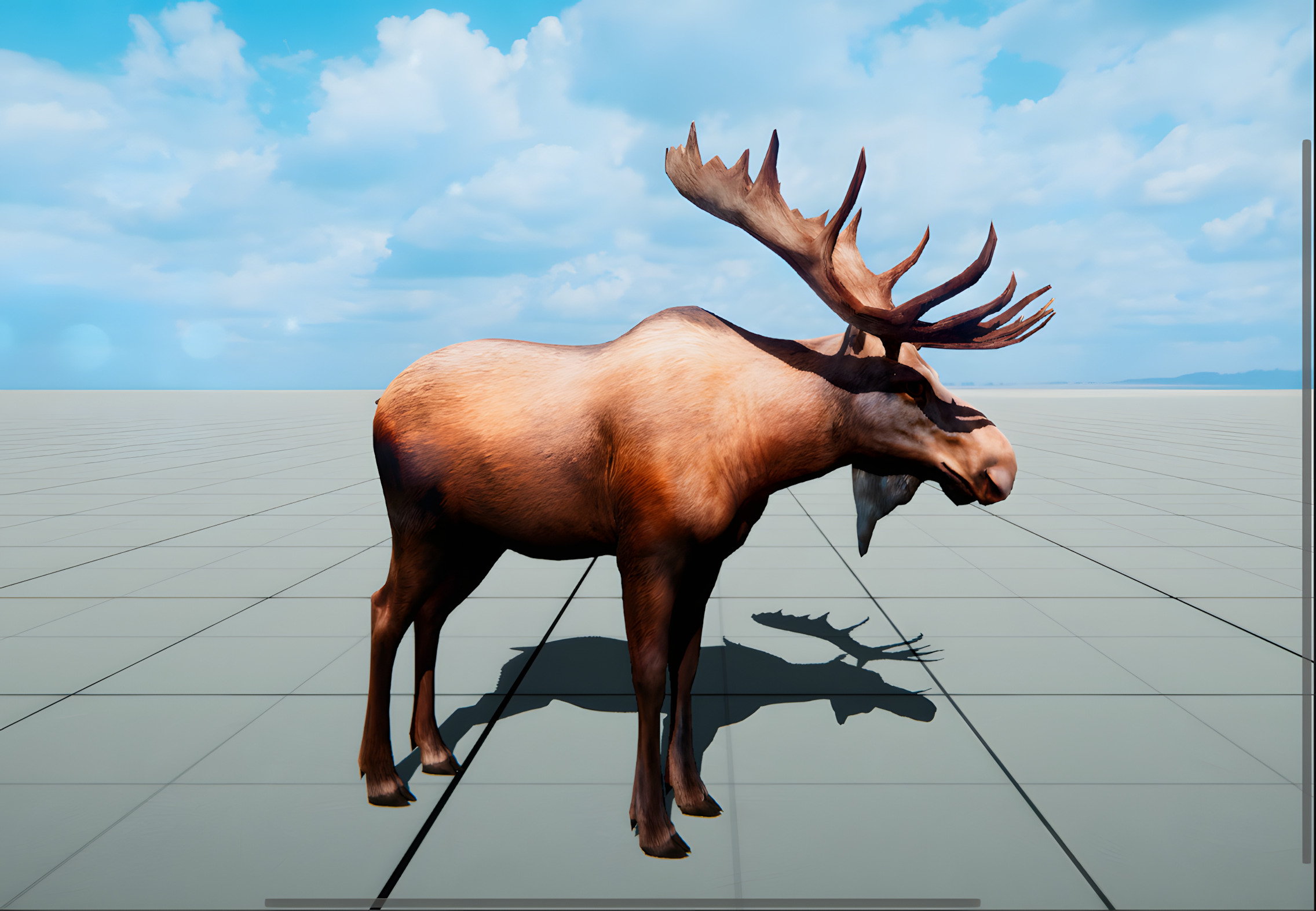 Realistic Animals PACK Low-poly 3D model_14
