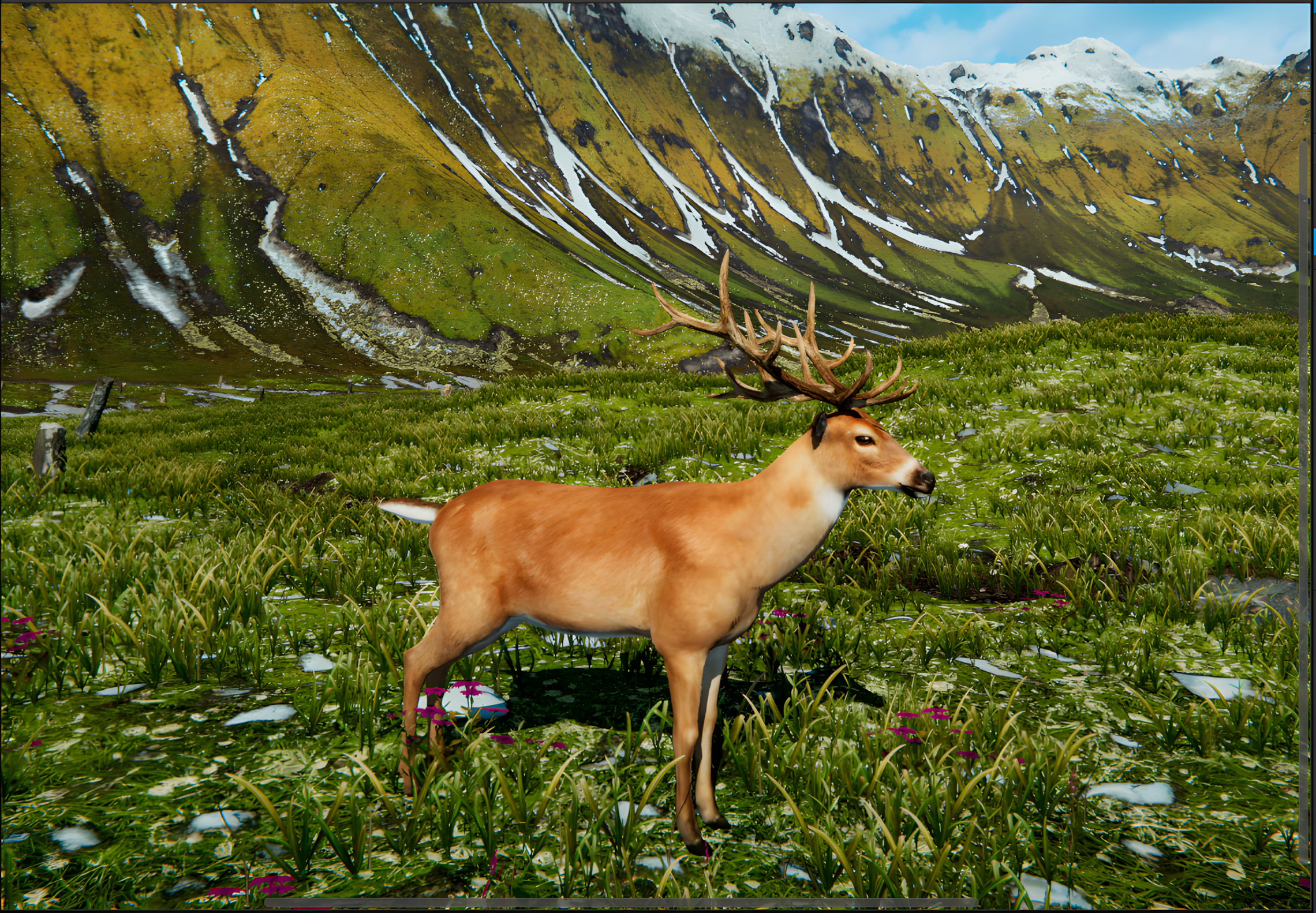 Realistic Animals PACK Low-poly 3D model_17