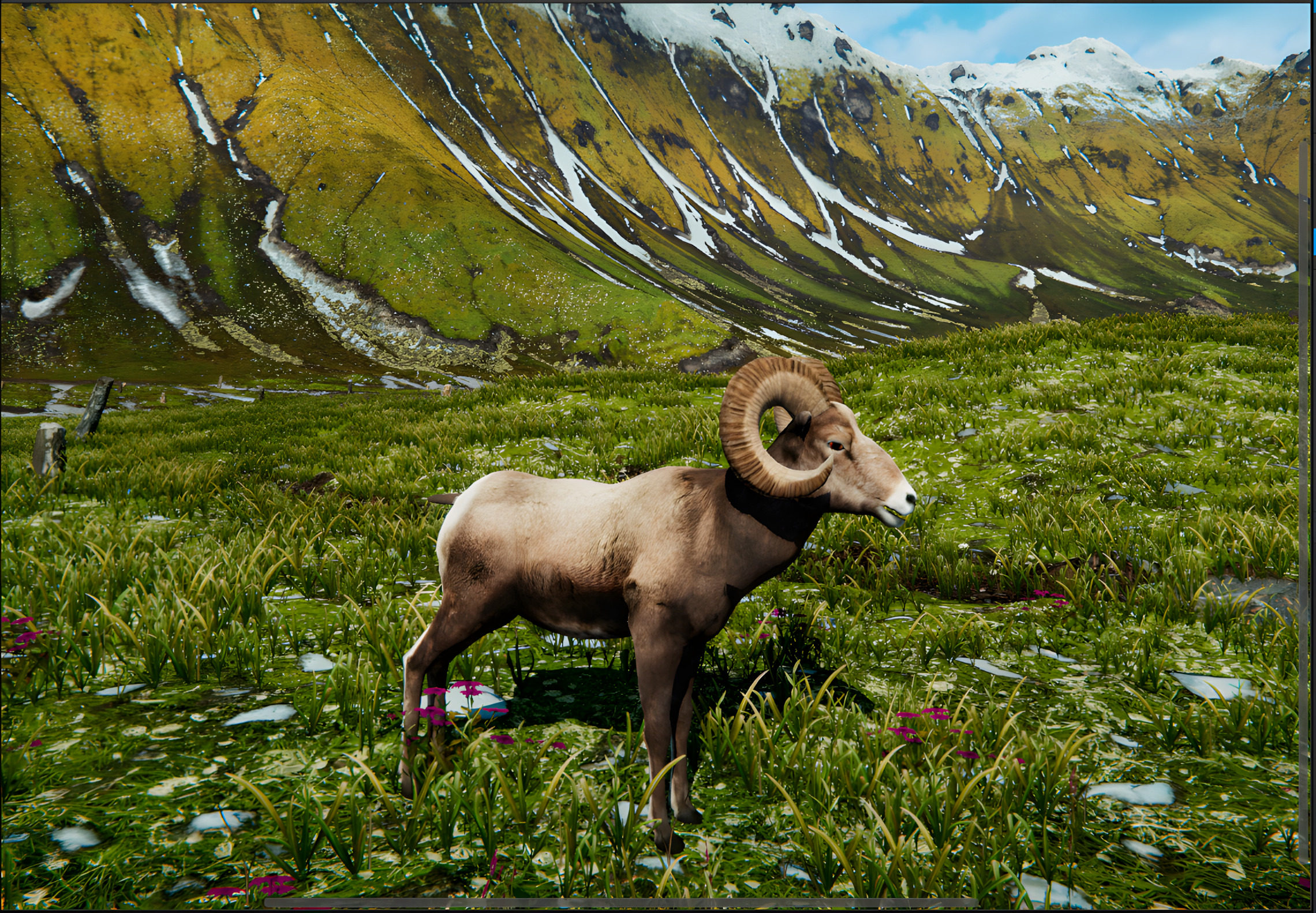 Realistic Animals PACK Low-poly 3D model_15