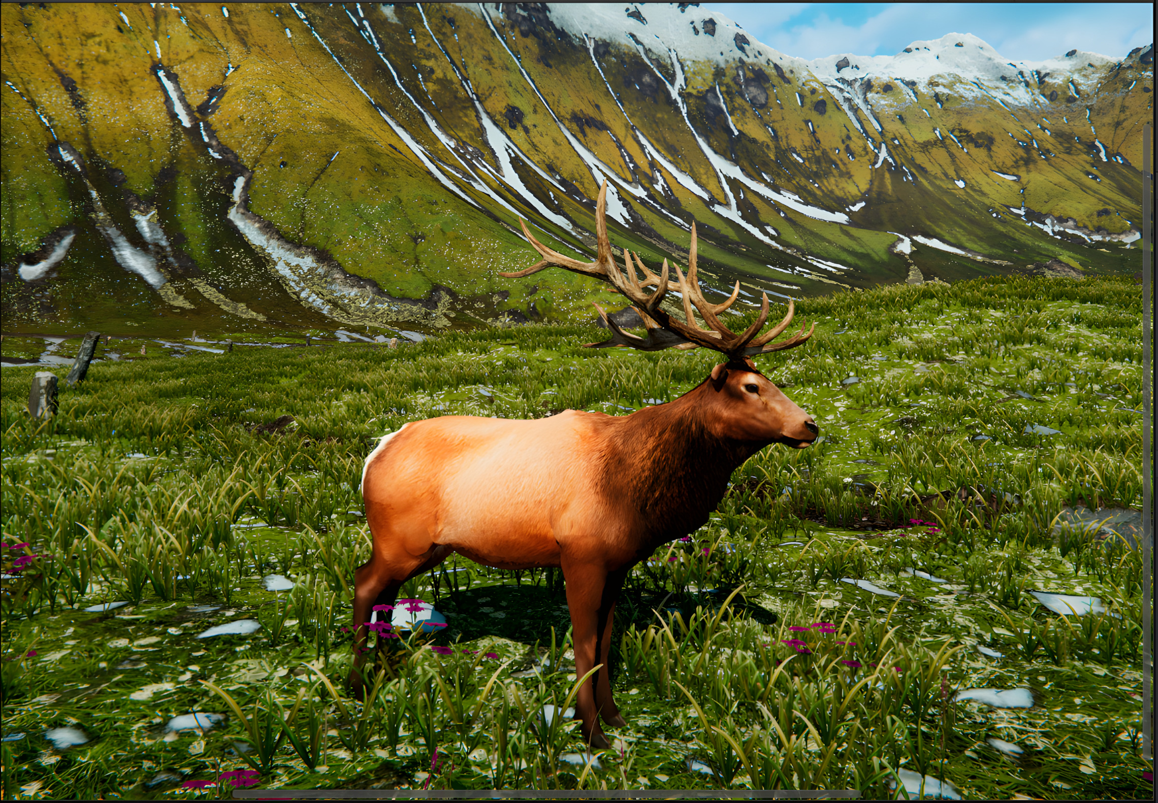 Realistic Animals PACK Low-poly 3D model_11