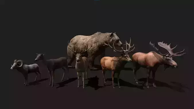 Realistic Animals PACK Low-poly 3D model