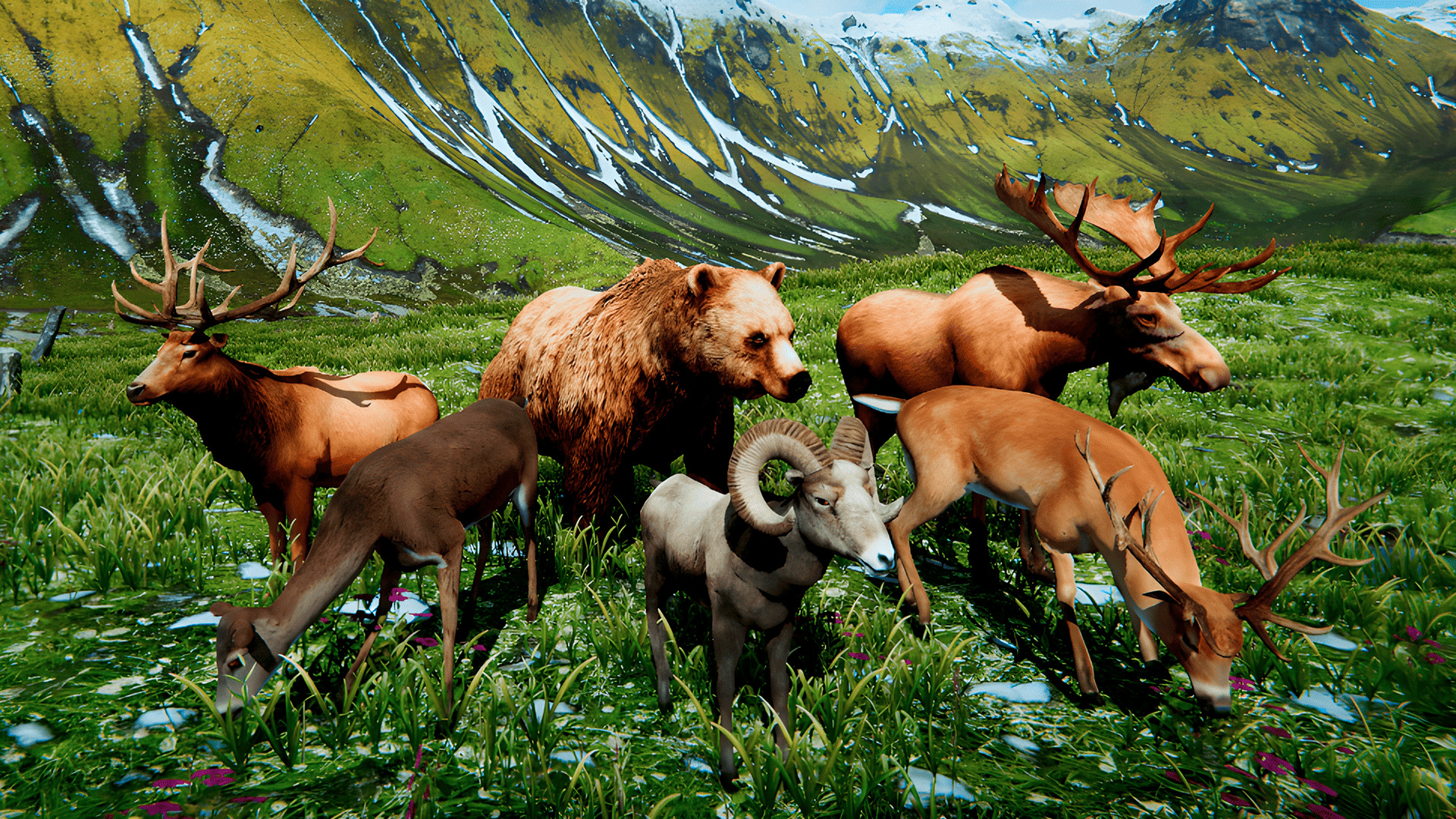 Realistic Animals PACK Low-poly 3D model_8