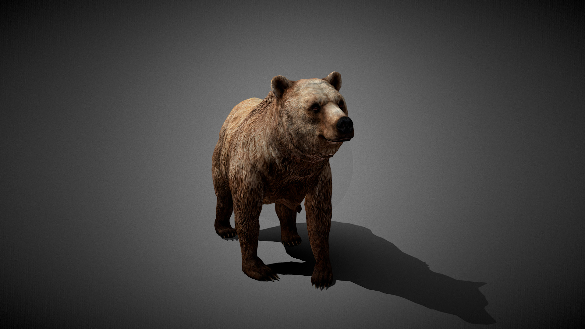 Bear Animated 3D Model Low-poly 3D model_3