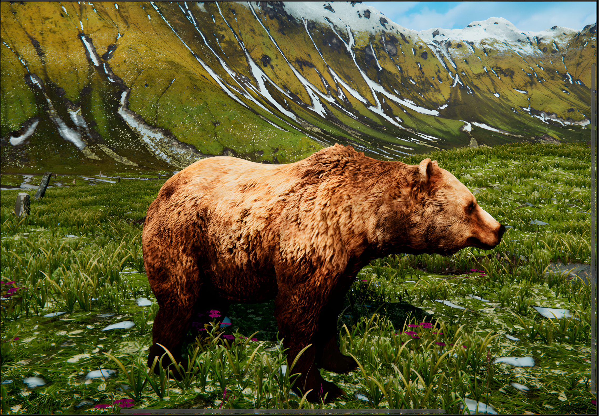 Bear Animated 3D Model Low-poly 3D model_6