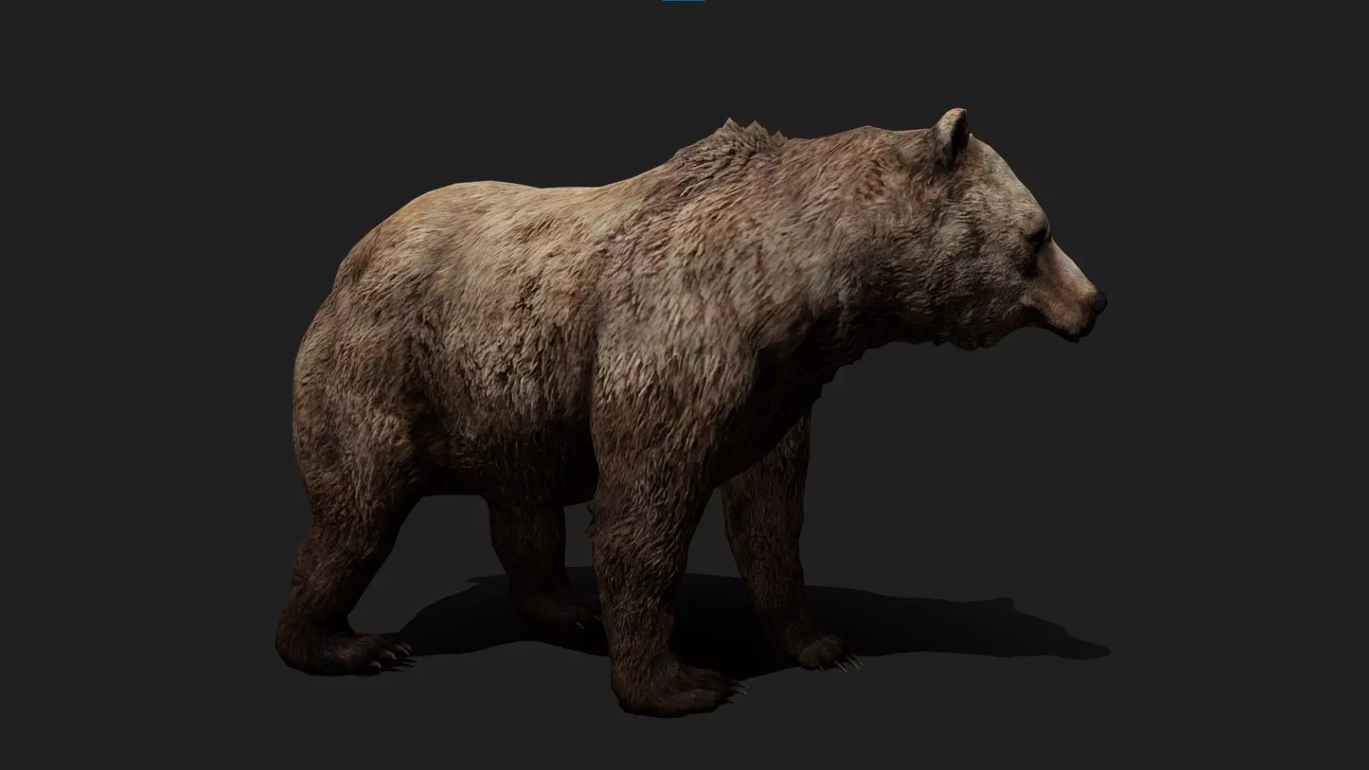 Bear Animated 3D Model Low-poly 3D model_0