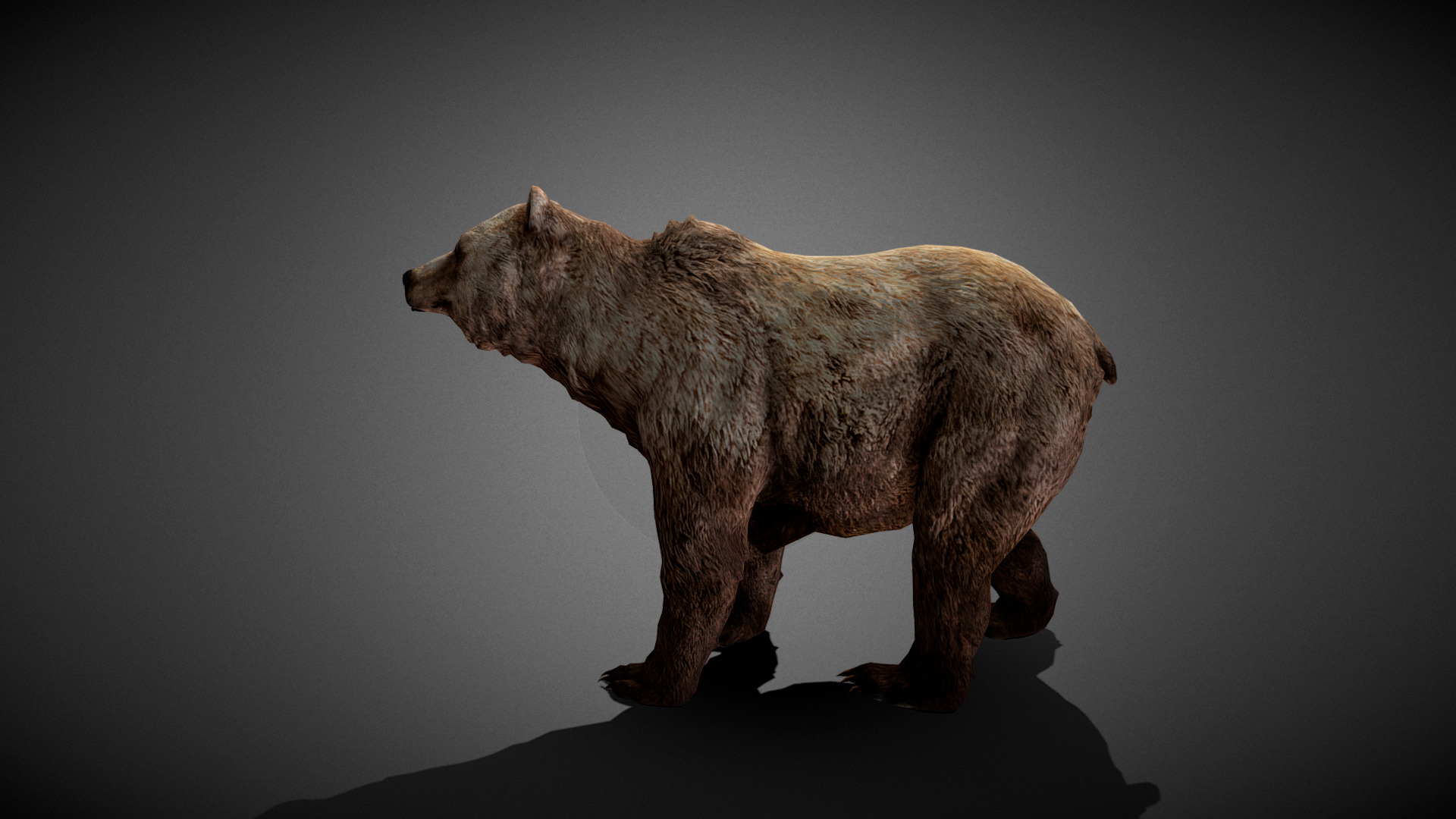 Bear Animated 3D Model Low-poly 3D model_4