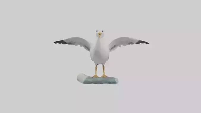 Seagull Figurine model Low-poly 3D model