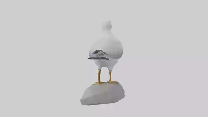 Seagull statue model