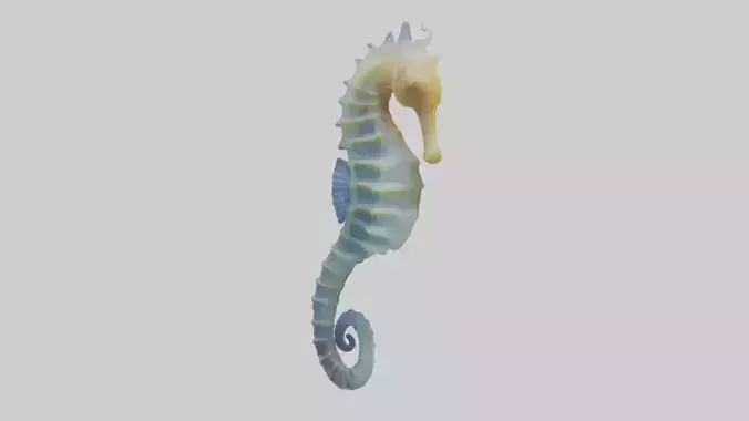 Seahorse Fin