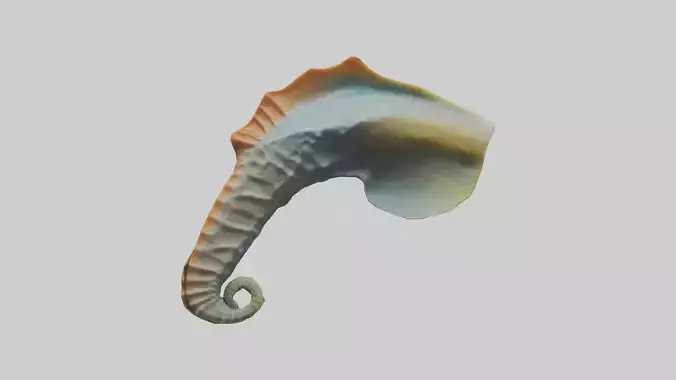 Seahorse Fin Model Low-poly 3D model