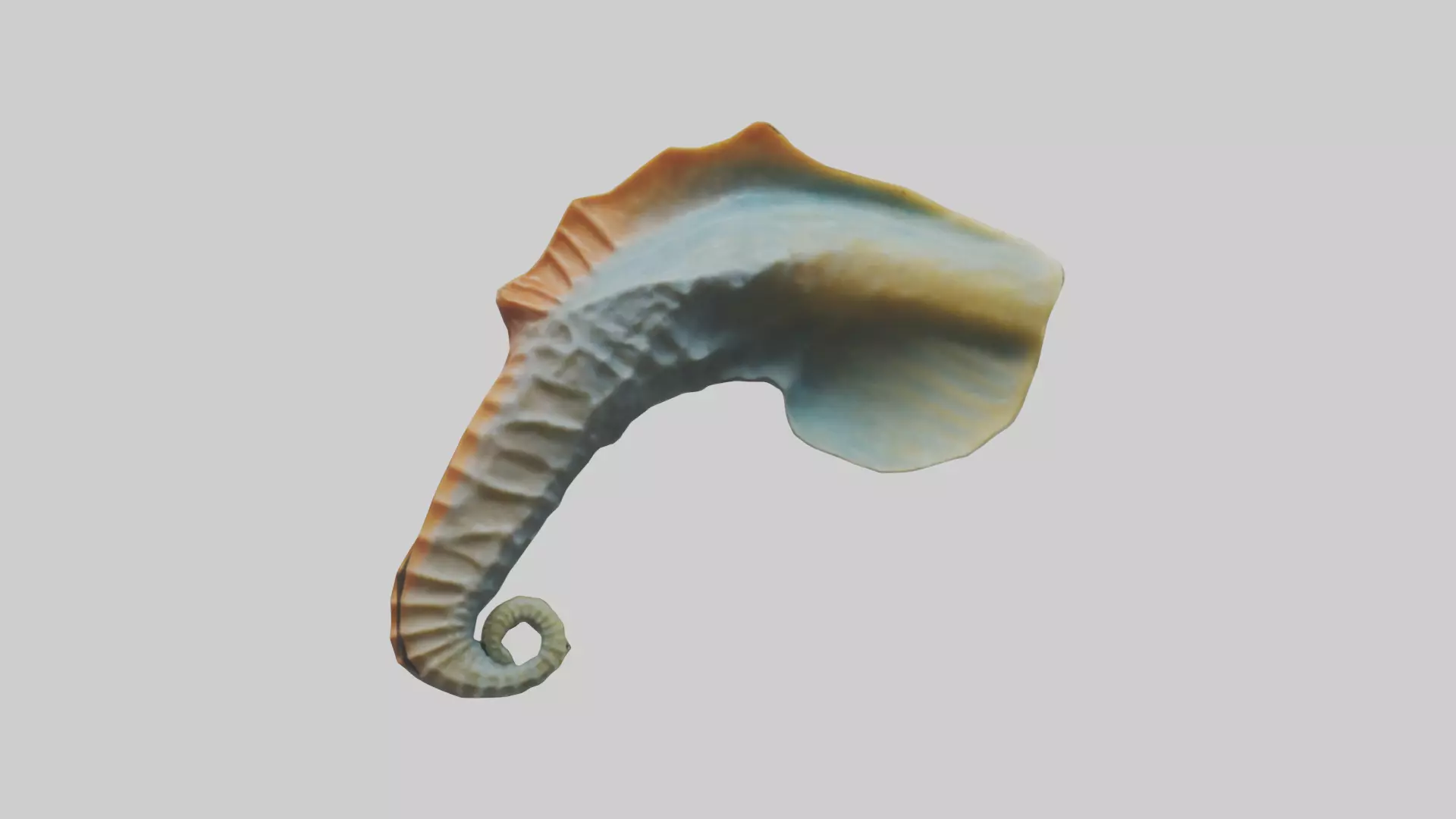Seahorse Fin Model Low-poly 3D model_0