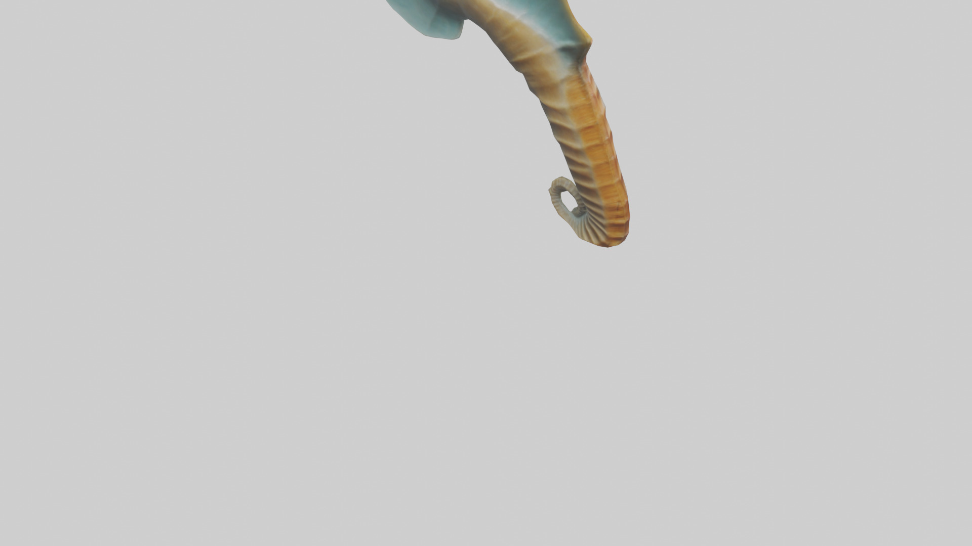Seahorse Fin Model Low-poly 3D model_5