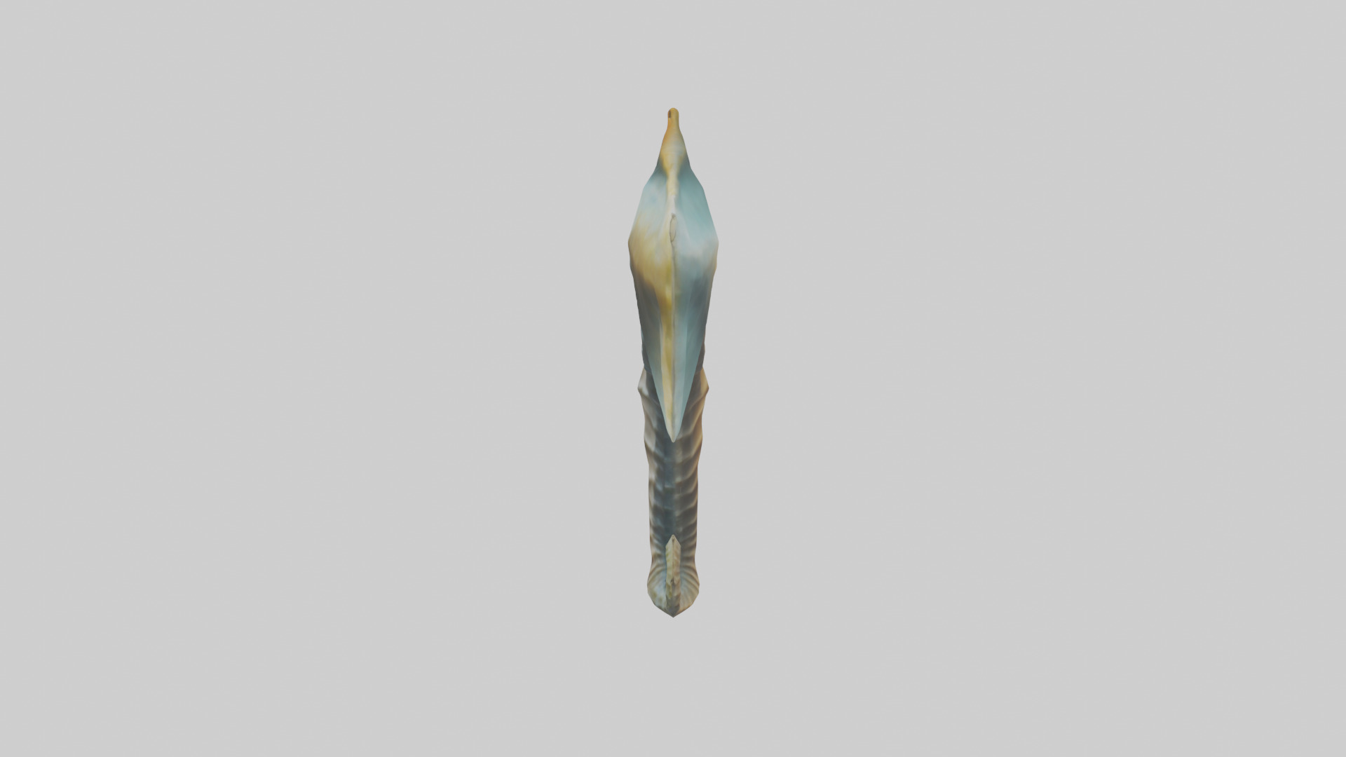 Seahorse Fin Model Low-poly 3D model_12