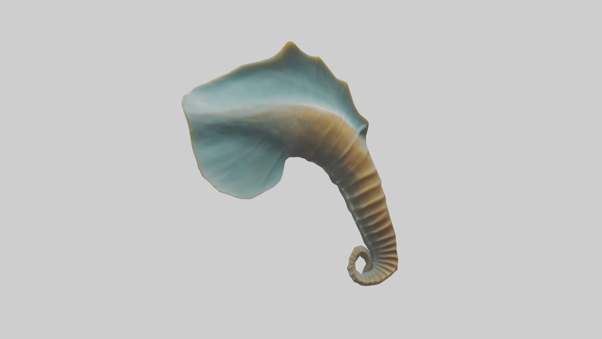 Seahorse Fin Model Low-poly 3D model_2