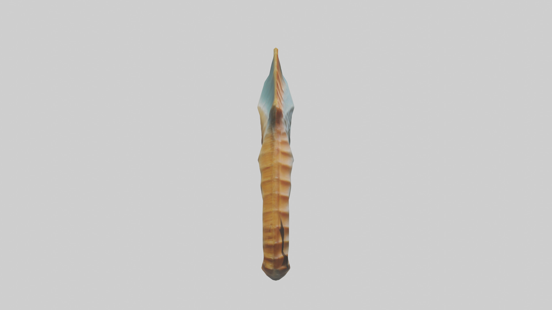 Seahorse Fin Model Low-poly 3D model_13