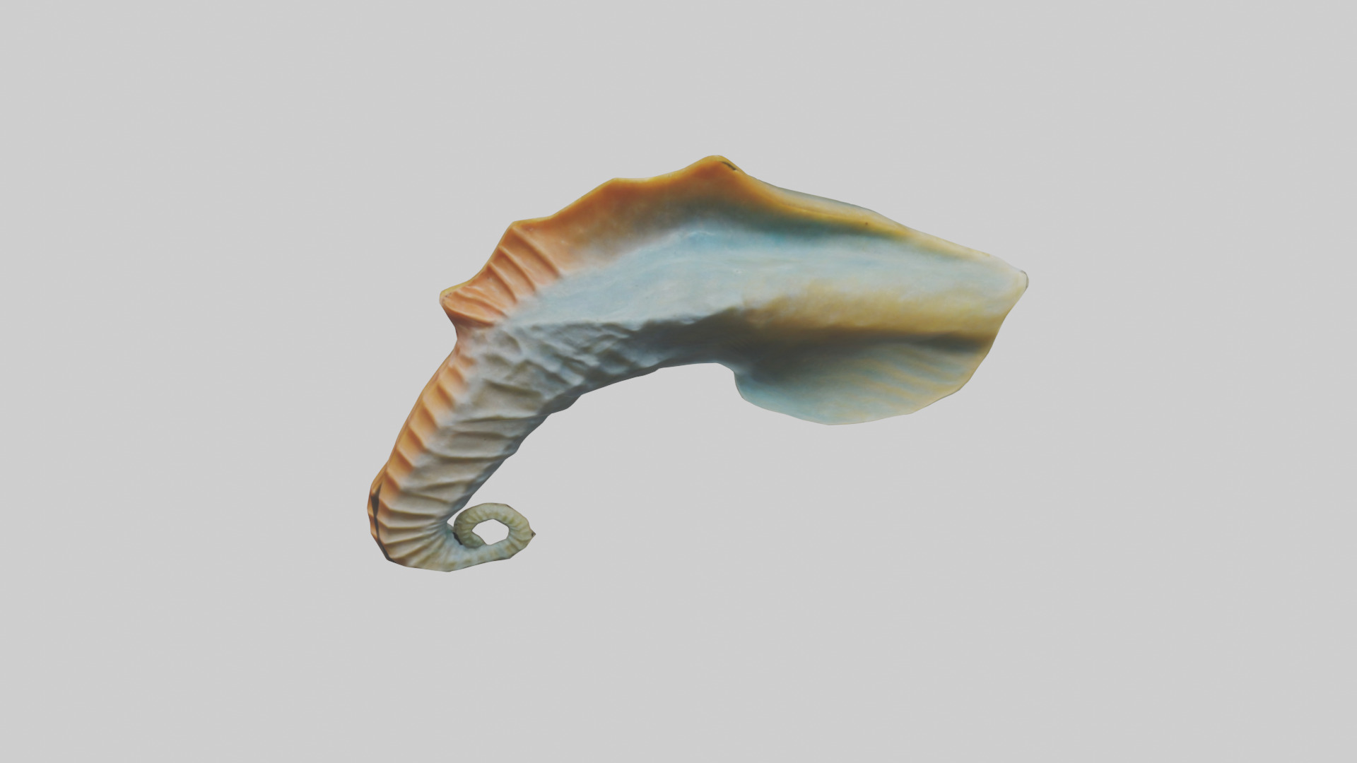 Seahorse Fin Model Low-poly 3D model_16
