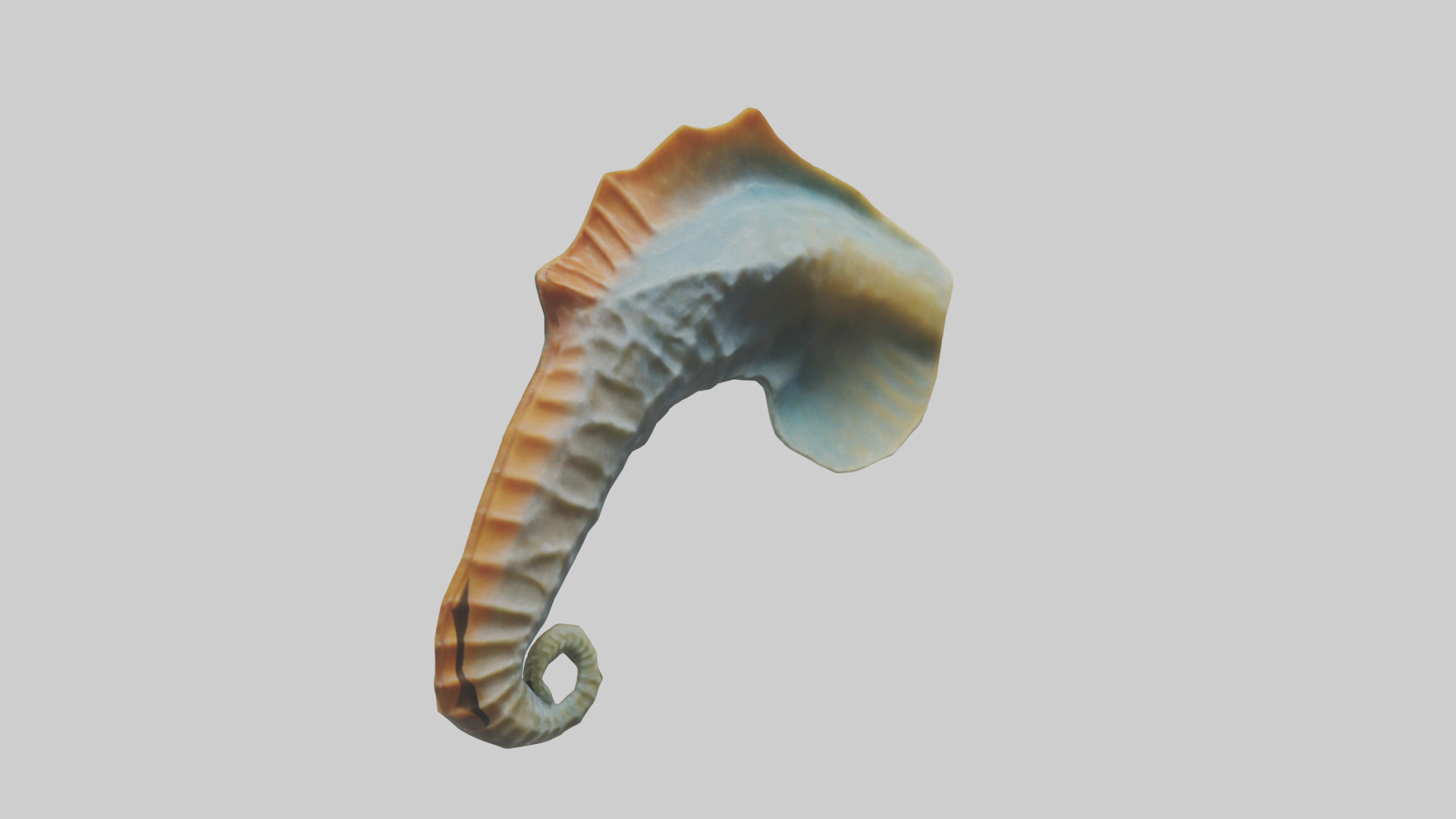 Seahorse Fin Model Low-poly 3D model_11