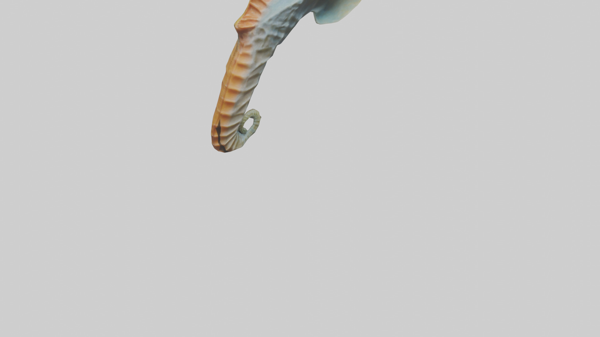 Seahorse Fin Model Low-poly 3D model_7