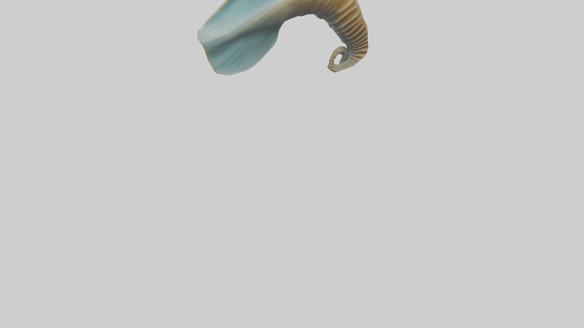 Seahorse Fin Model Low-poly 3D model_4