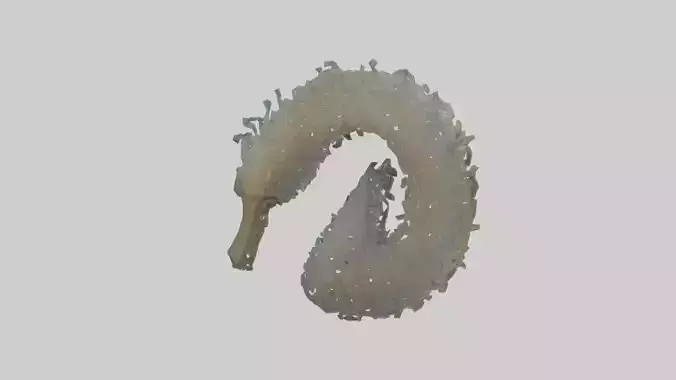 Seahorse Gills Low-poly 3D model
