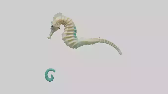 Seahorse swimming model
