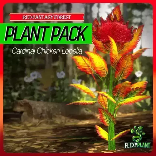 Red Fantasy Forest - 6 Cardinal Chicken Lobelia Fern Grass Plant