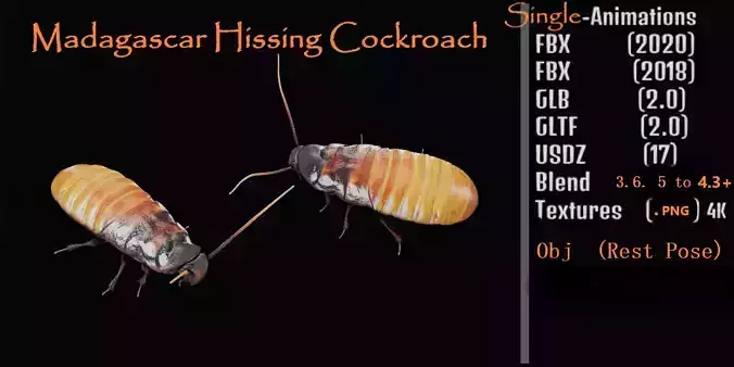 Madagascar Hissing Cockroach Low-poly 3D model