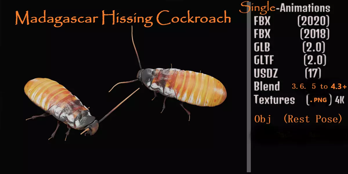 Madagascar Hissing Cockroach Low-poly 3D model