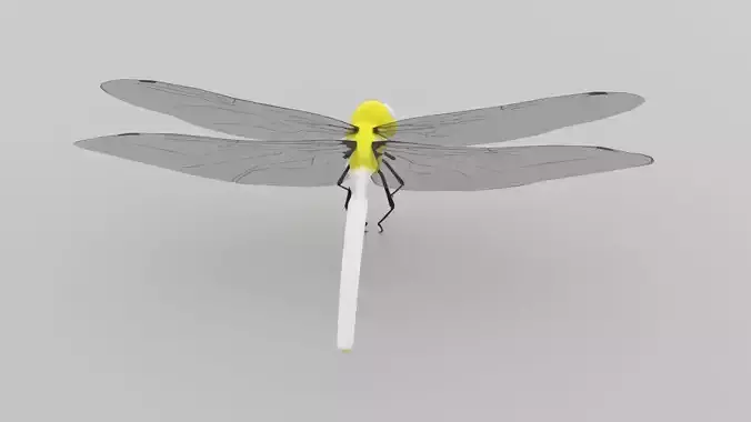 Cartoon Dragonfly 3D Model 3D model