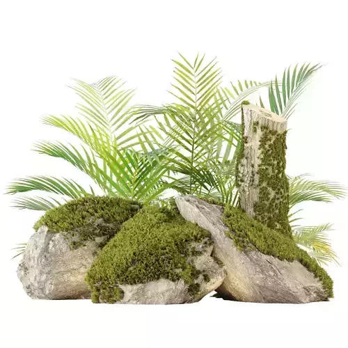 Mossy Rocks and Tropical Plants 3D Model Realistic Nature Asset
