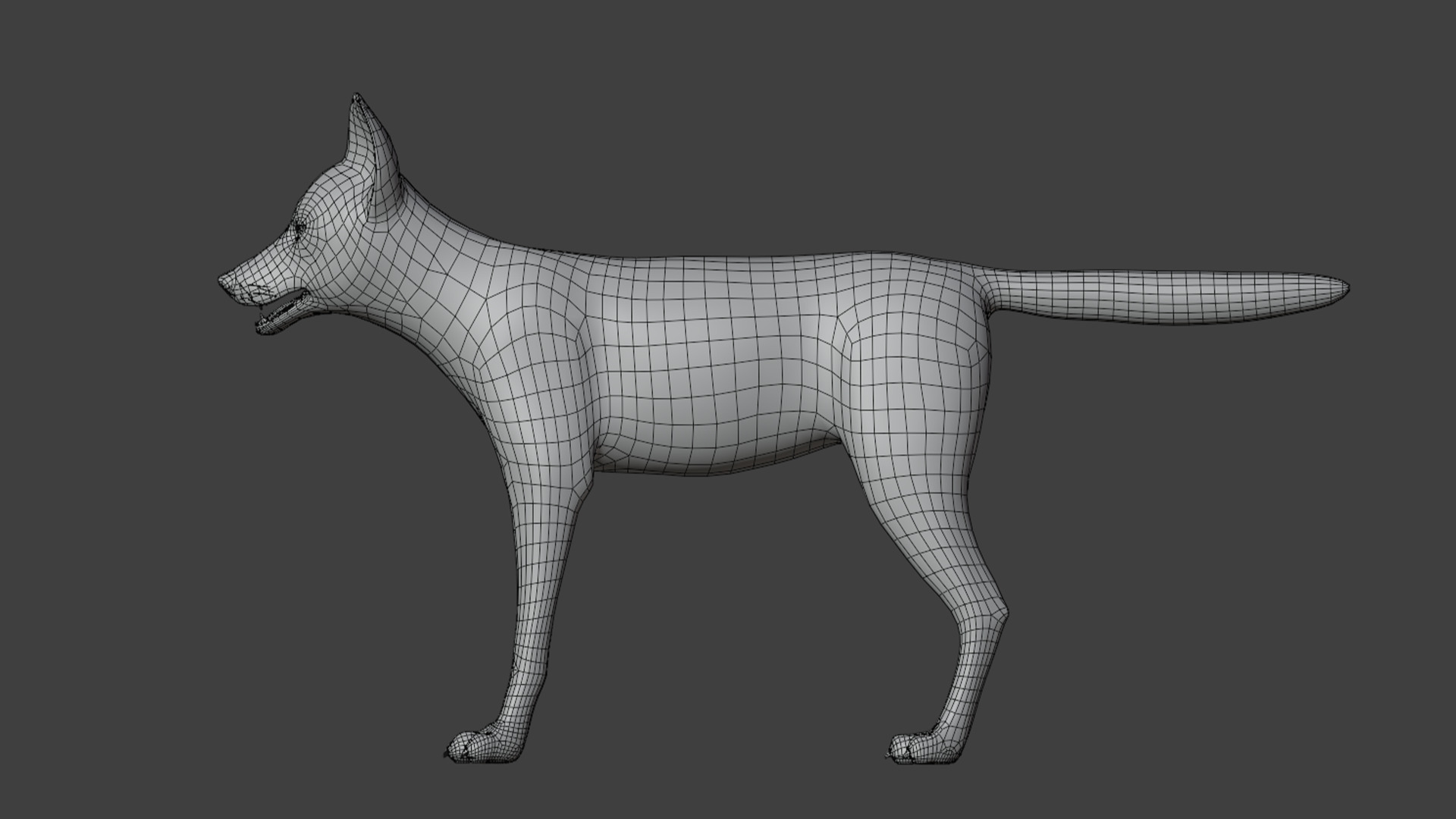 Jackal Realistic Animated 3D model_15