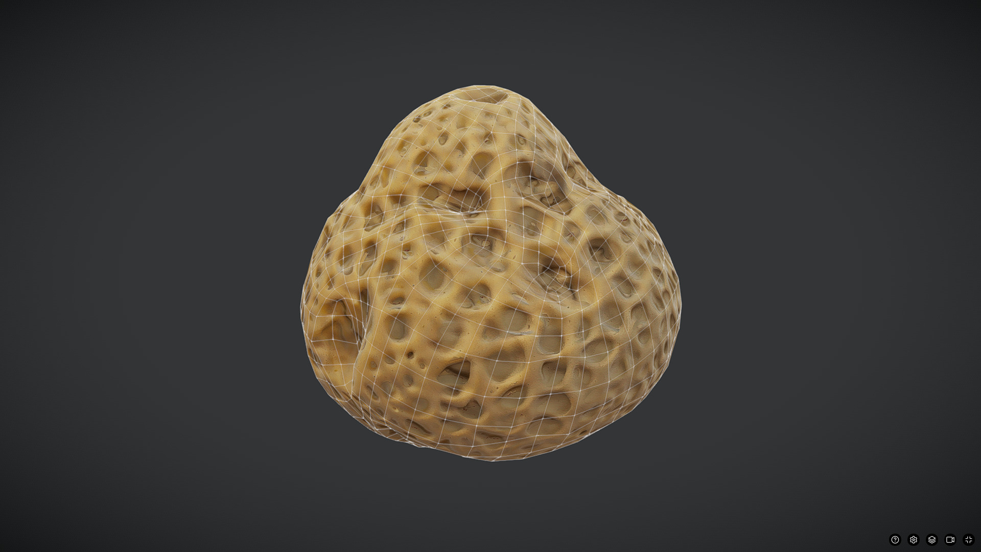 Sea Sponge Low-poly 3D model_2