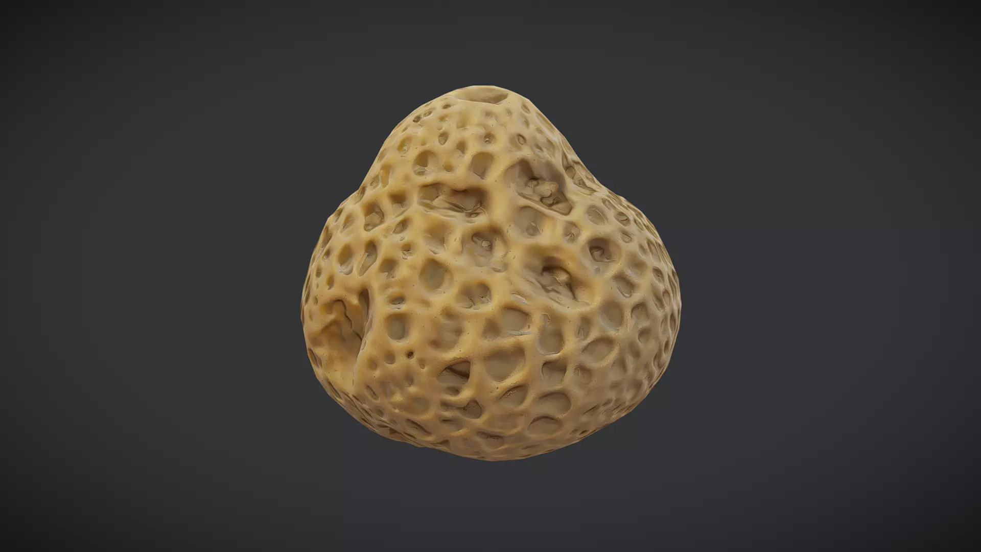 Sea Sponge Low-poly 3D model_0