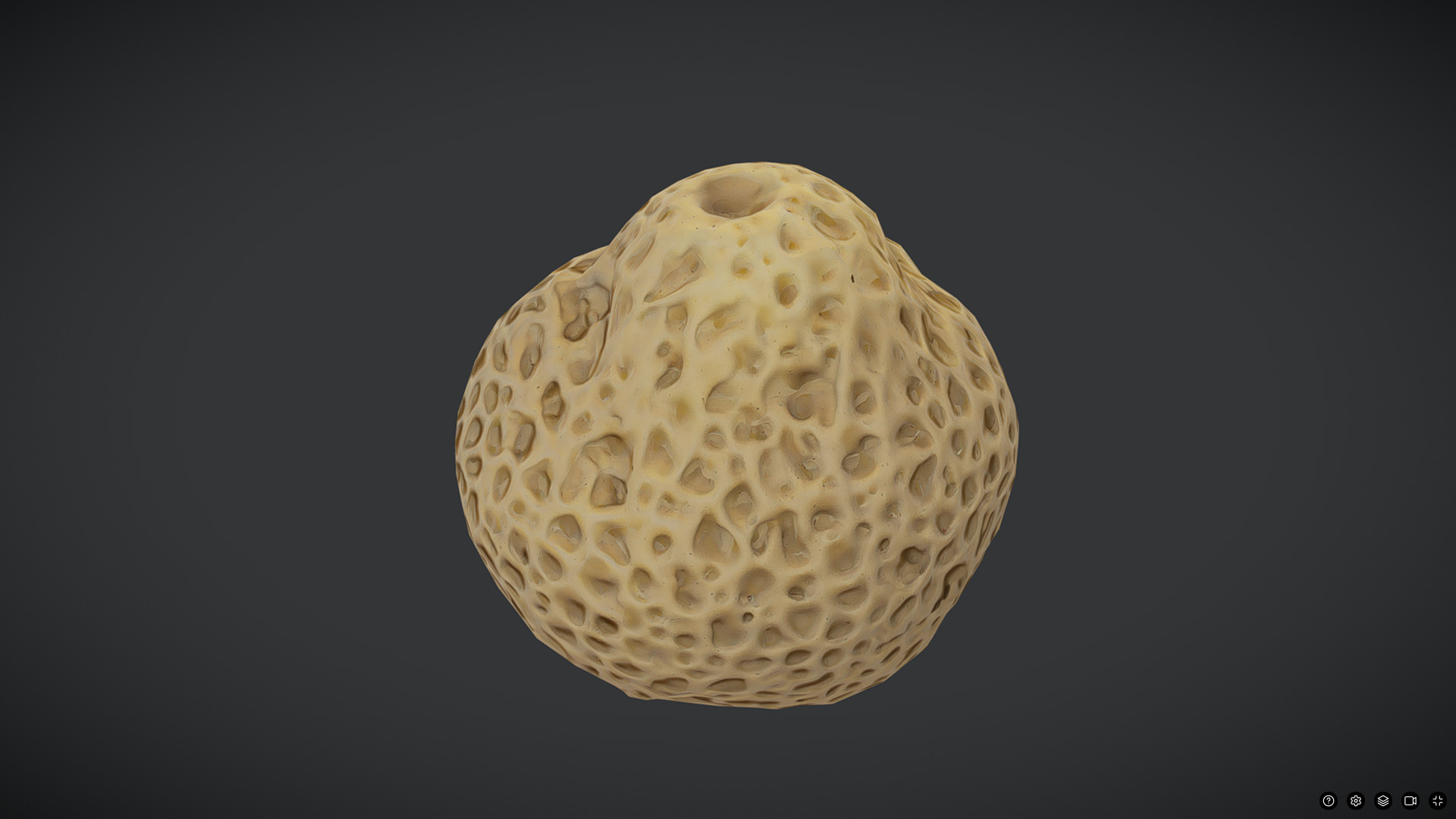 Sea Sponge Low-poly 3D model_5