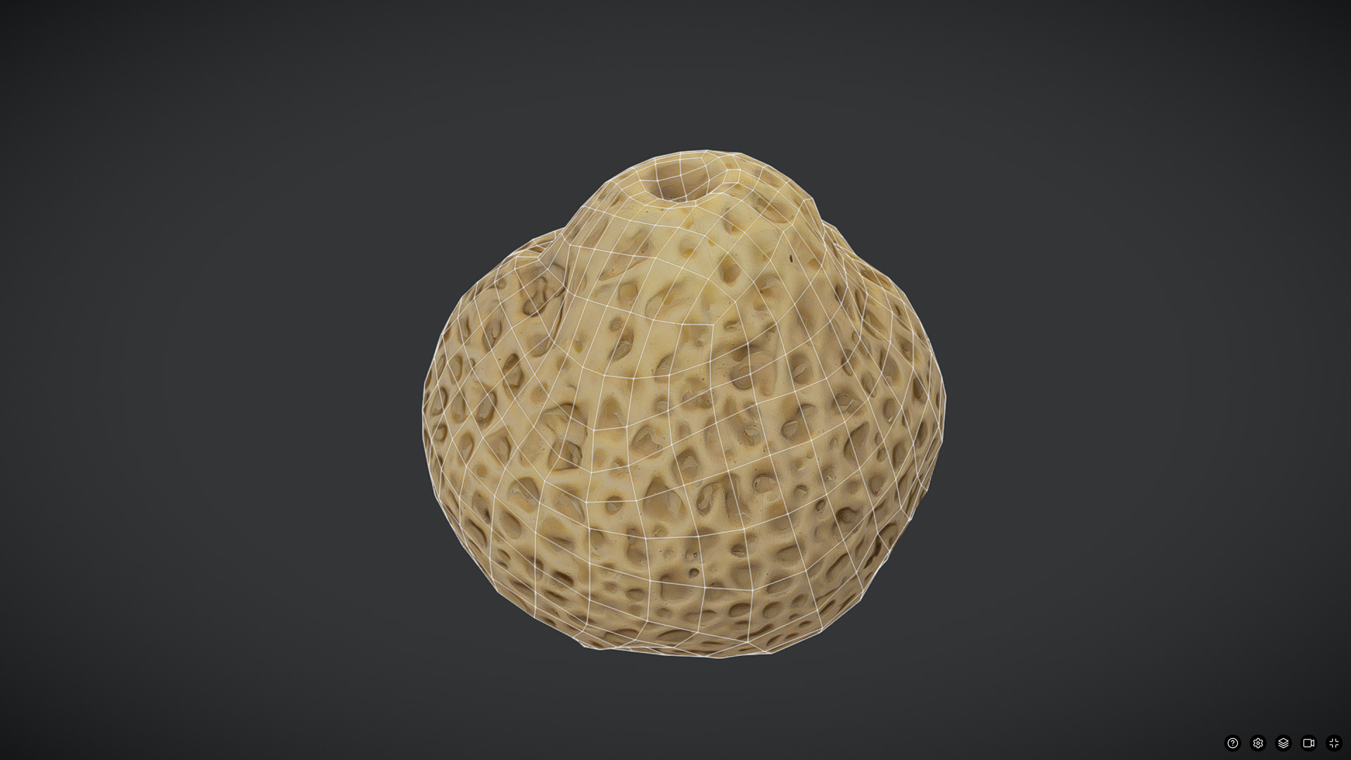 Sea Sponge Low-poly 3D model_6