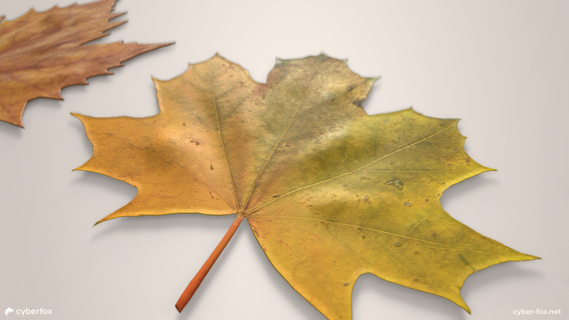 Autumn Maple Leaves Low-poly 3D model_5