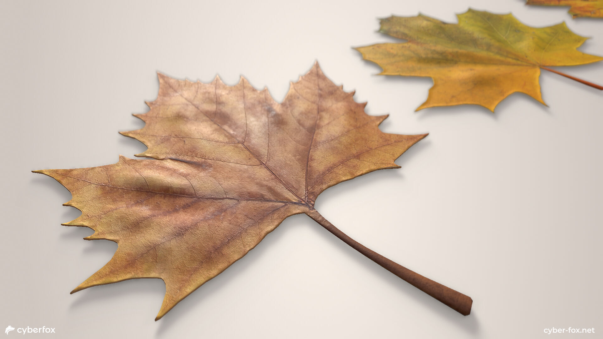 Autumn Maple Leaves Low-poly 3D model_7