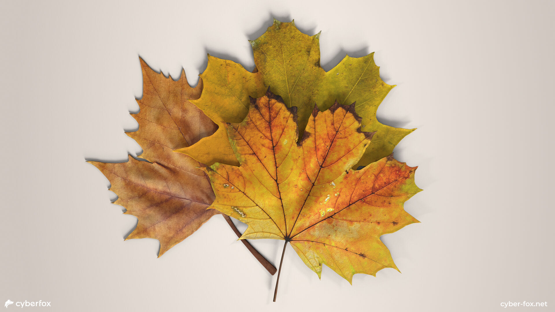 Autumn Maple Leaves Low-poly 3D model_1