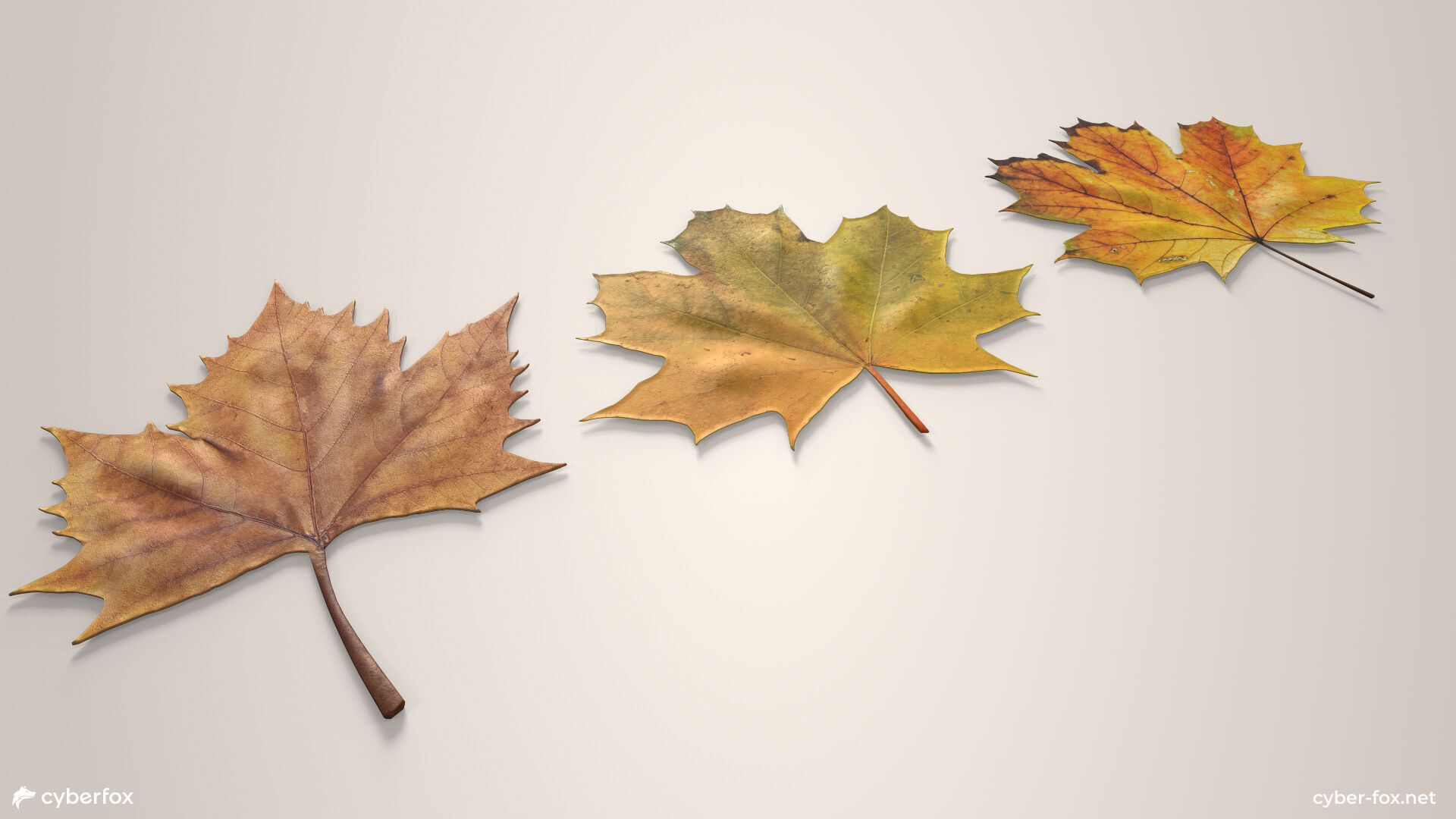 Autumn Maple Leaves Low-poly 3D model_3