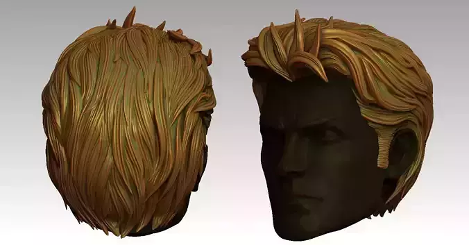 3D Hair style for Man V21 3D print model