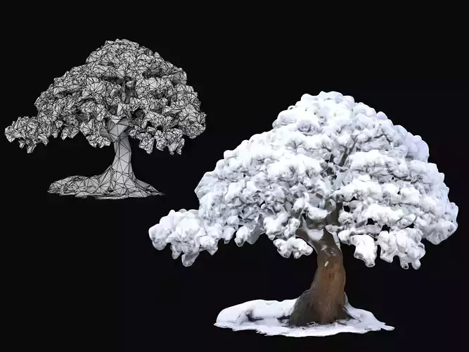 Winter Tree 1 Free low-poly 3D model