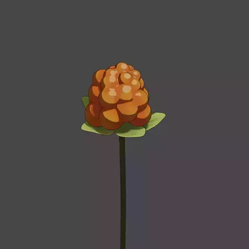Cloudberry
