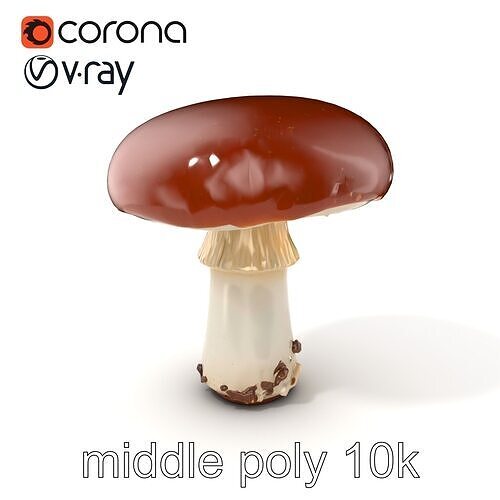 Suillus Luteus Mushroom Detailed Model Pack Low-poly 3D model