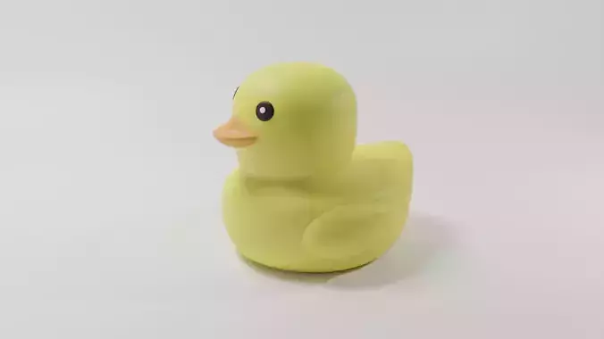 Duck toy