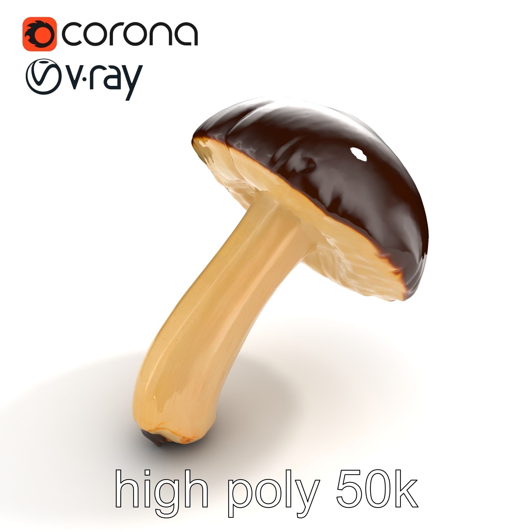 Realistic Suillus Mushroom Model Pack Low-poly 3D model_14