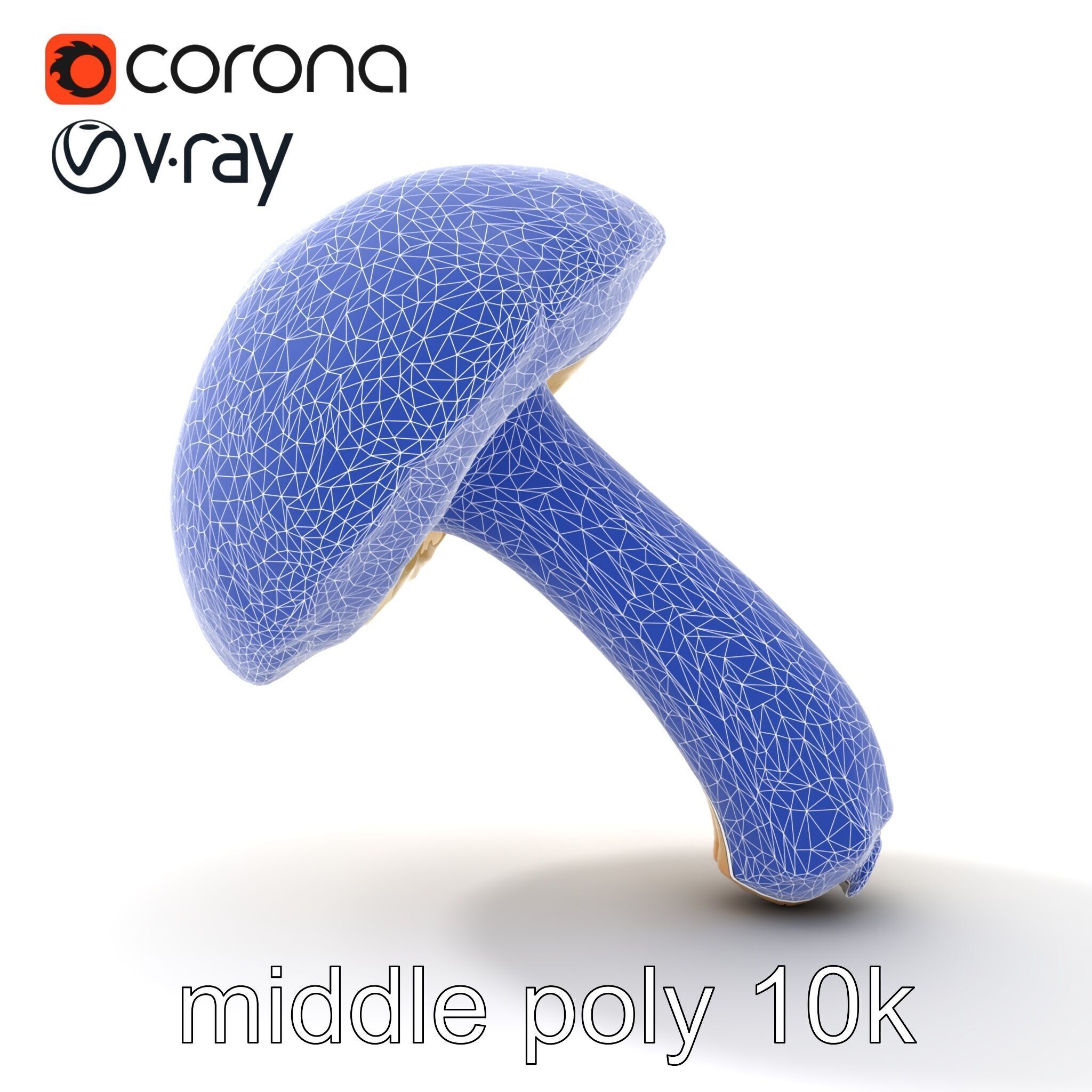 Realistic Suillus Mushroom Model Pack Low-poly 3D model_26