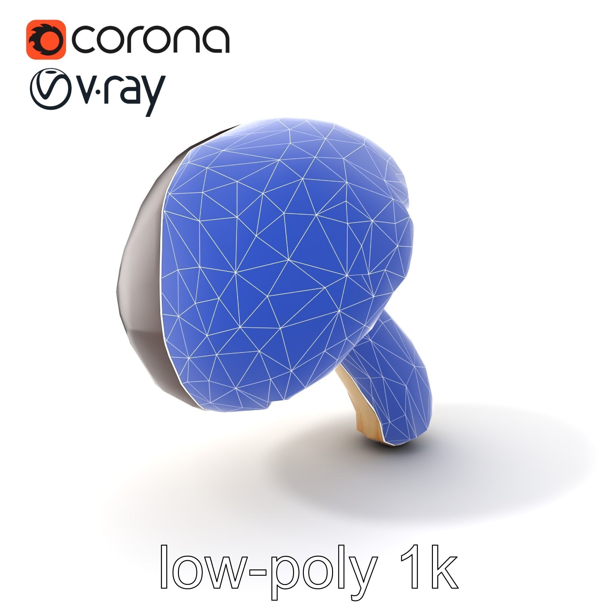 Realistic Suillus Mushroom Model Pack Low-poly 3D model_7