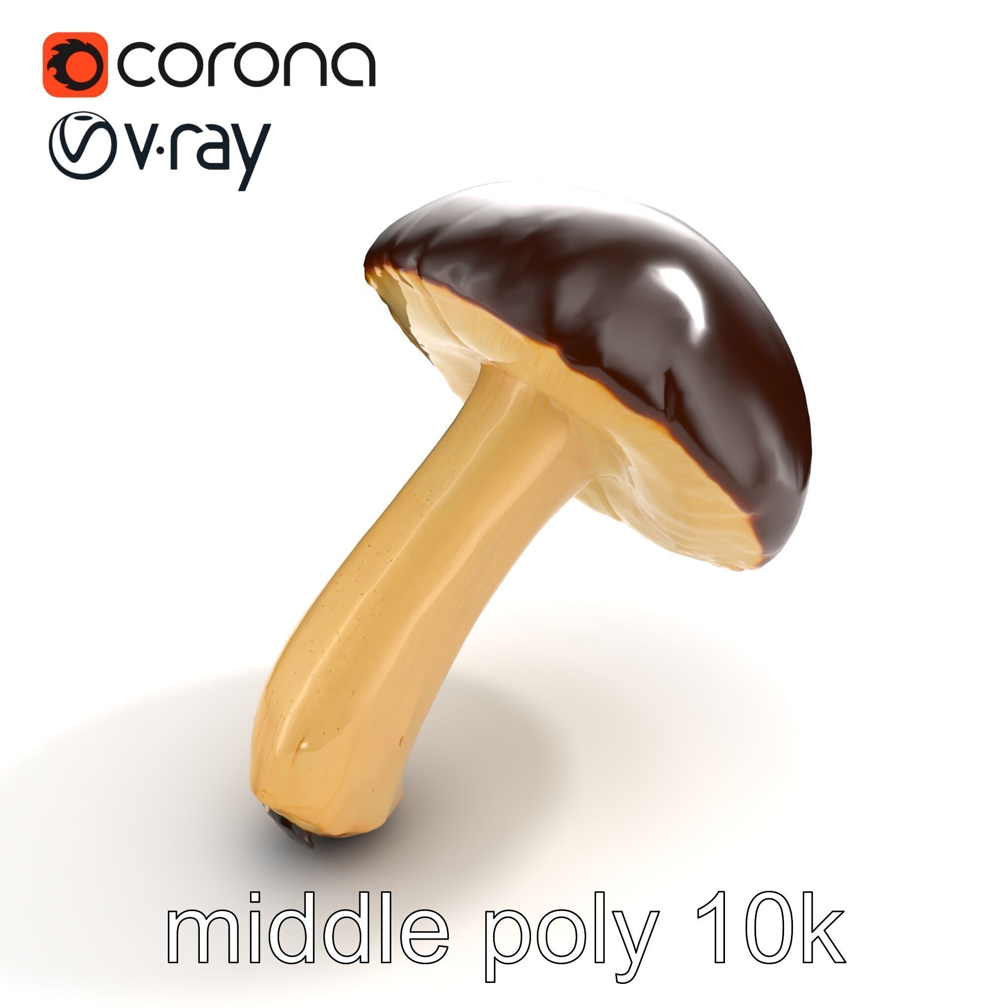 Realistic Suillus Mushroom Model Pack Low-poly 3D model_8