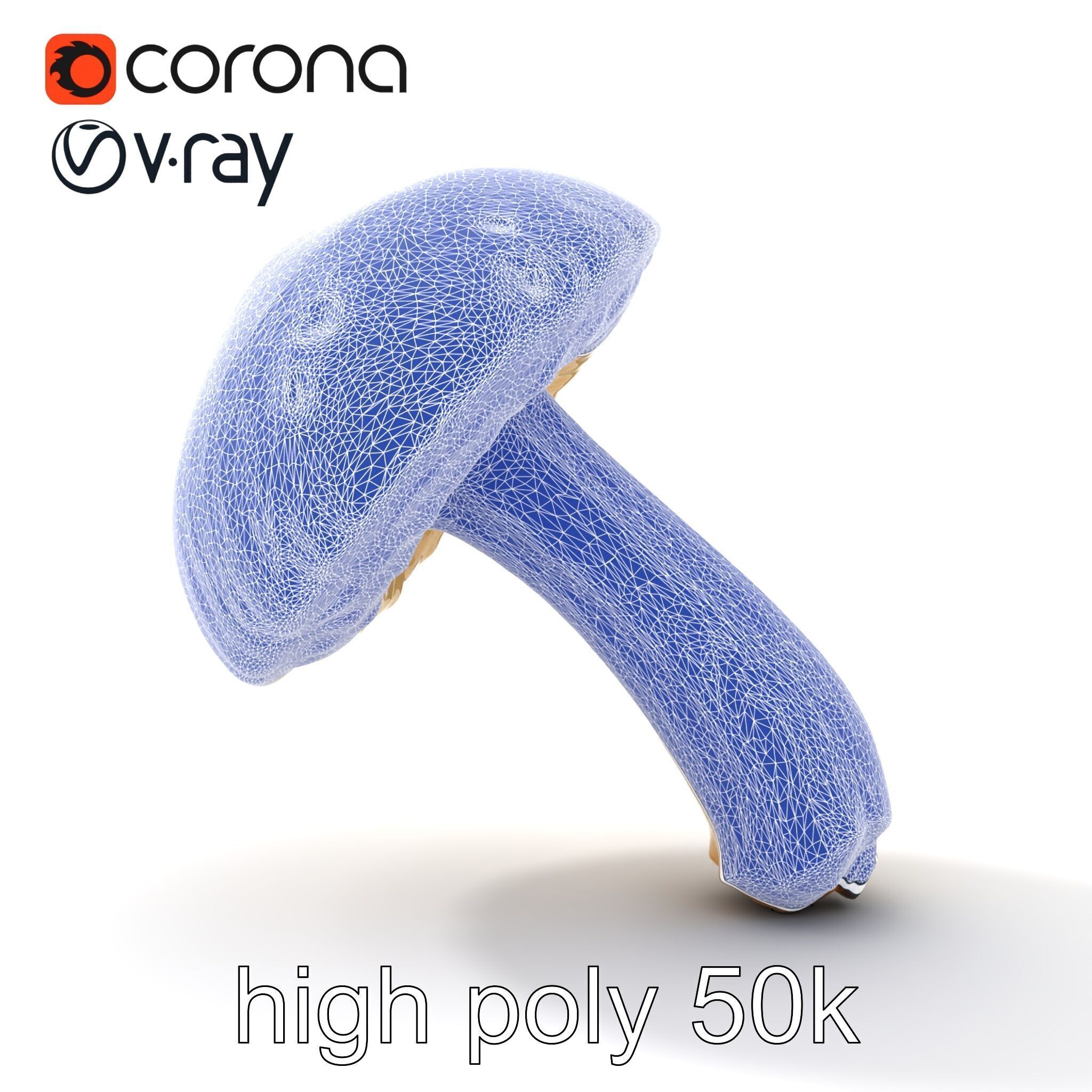 Realistic Suillus Mushroom Model Pack Low-poly 3D model_22